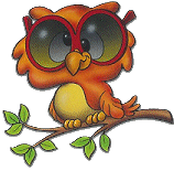Blinky Owl